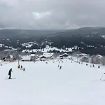 Edelstein *